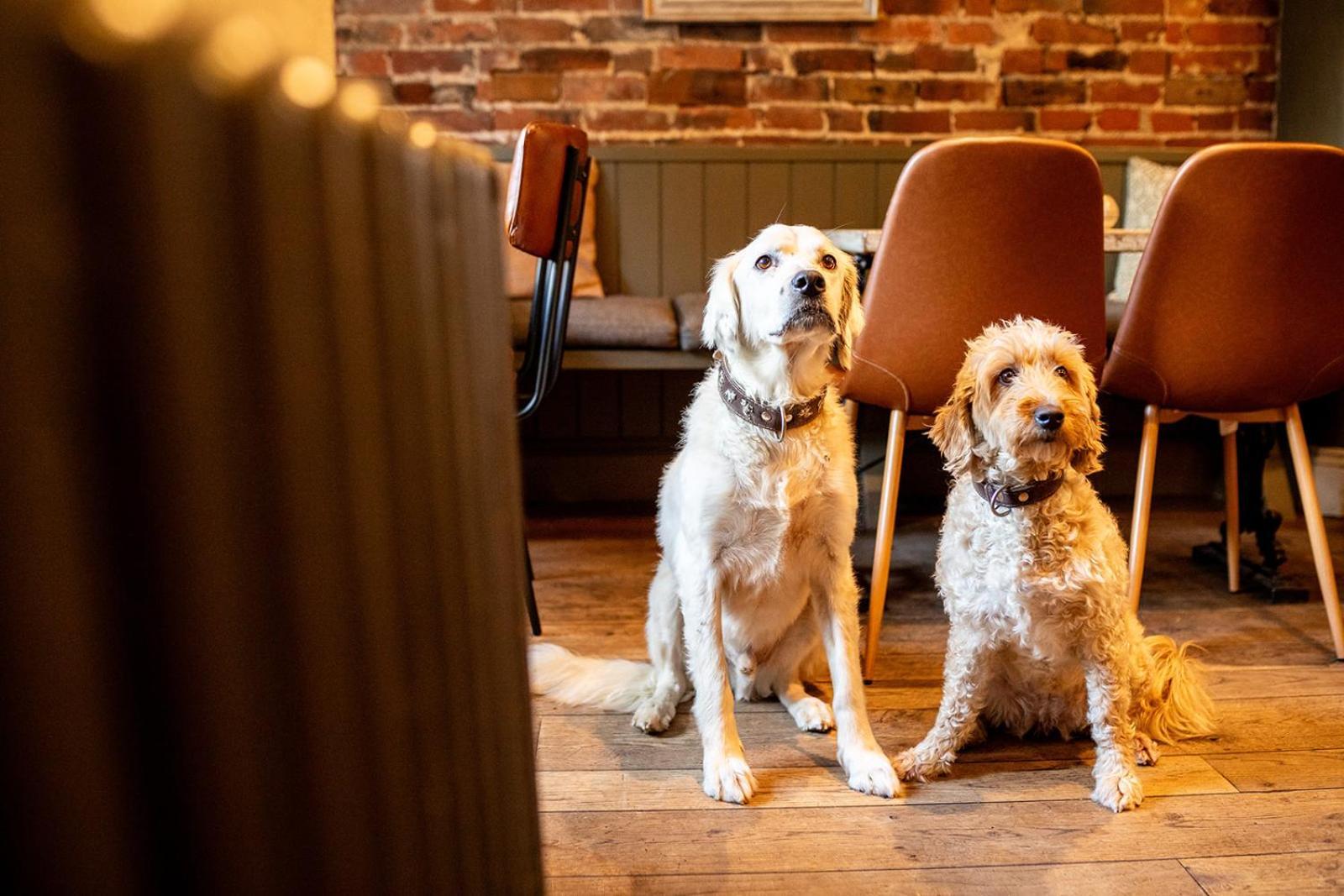 The Boot Inn Burton-upon-Trent Екстер'єр фото